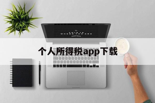 个人所得税app下载(个人所得税app下载官方免费下载安装)