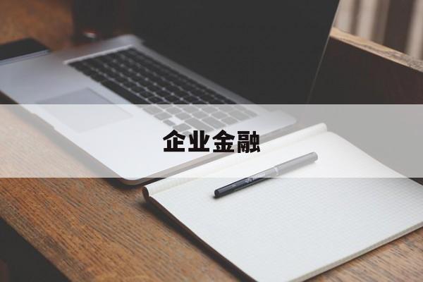 企业金融(企业金融资产包括)